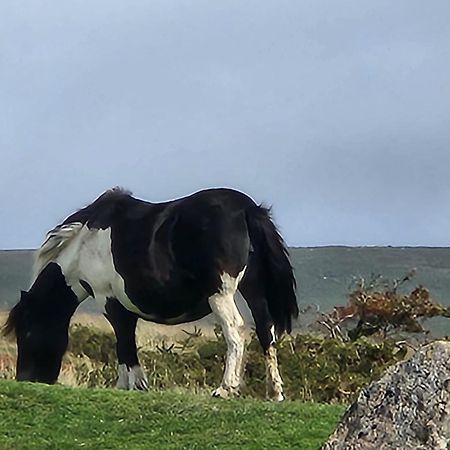 Dartmoor Lodge Hotel Ashburton Esterno foto