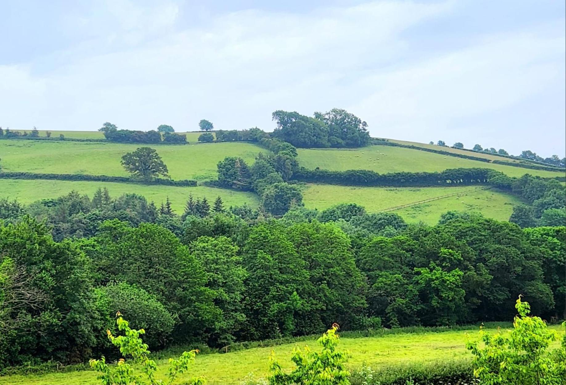 Dartmoor Lodge Hotel Ashburton Esterno foto