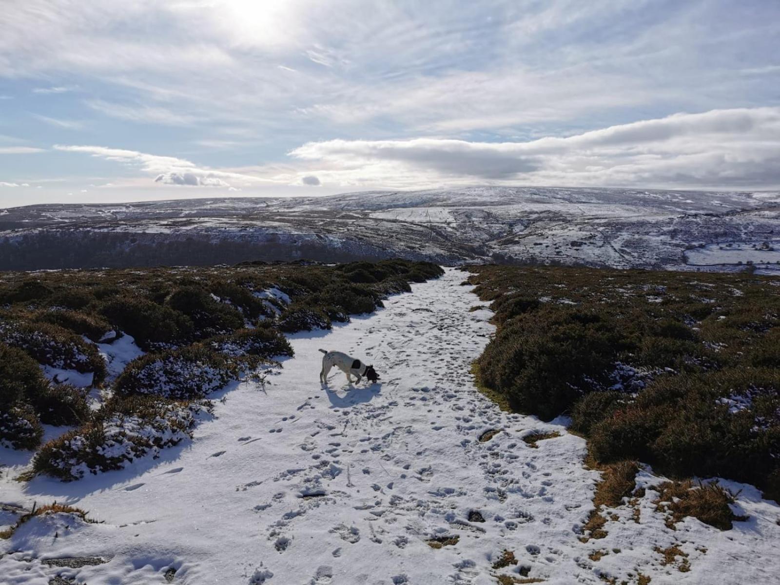 Dartmoor Lodge Hotel Ashburton Esterno foto